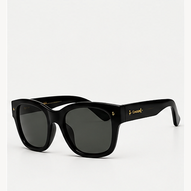 Ray-Ban Signature Frame Sunglasses